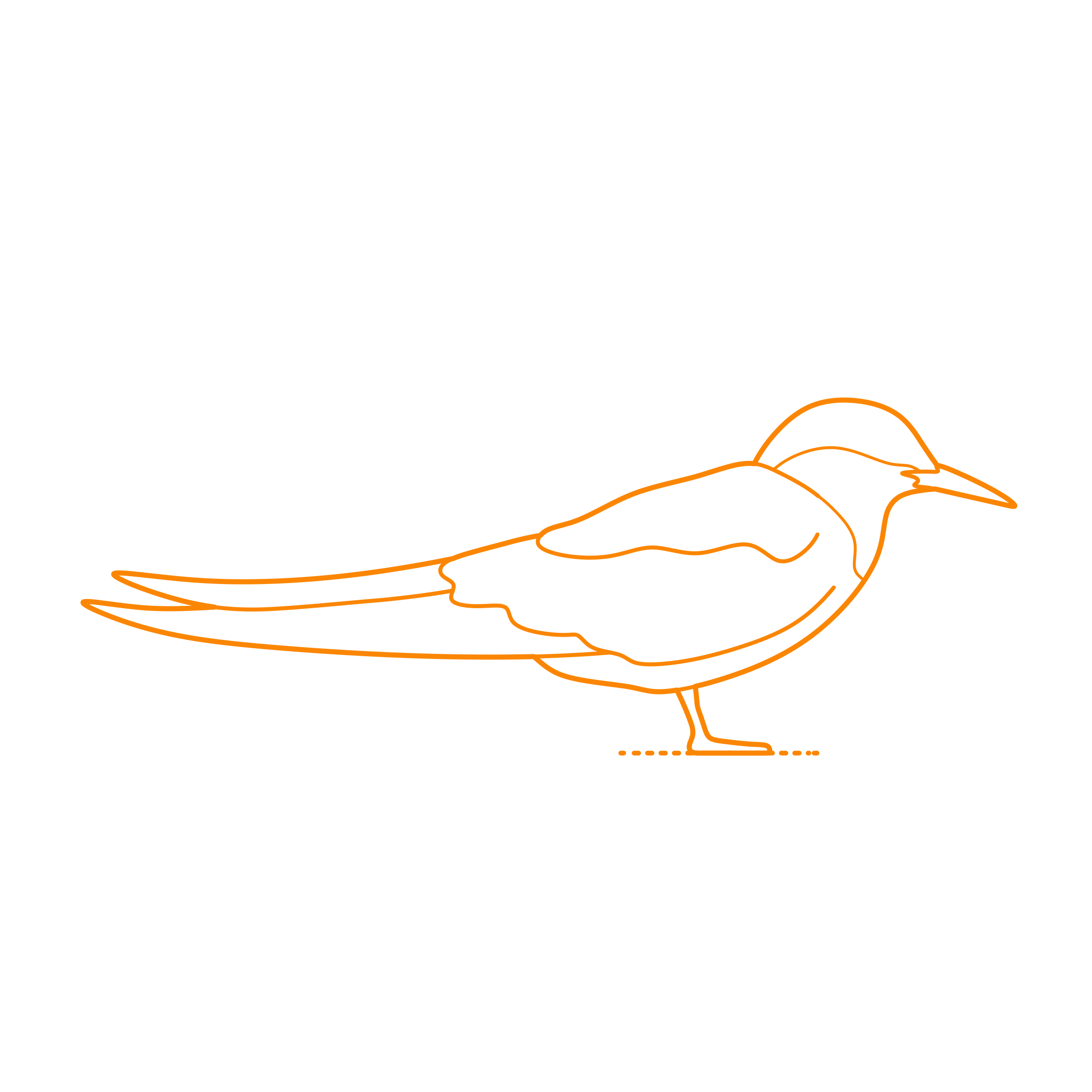 Animals Seabirds Arctic Tern Sketch Svg Vector Free Vectors